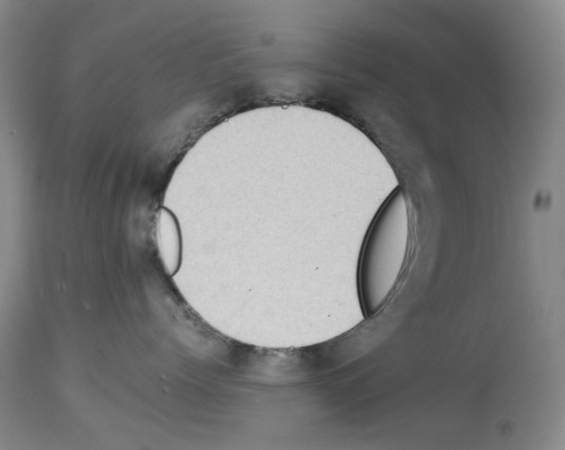 X0000113950768200911061303