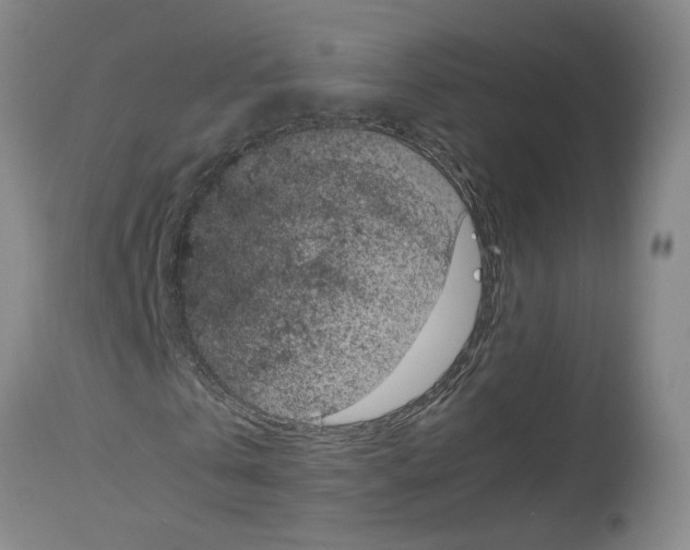 X0000113950769200911061303