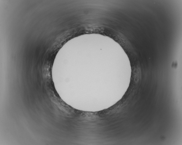 X0000113950770200911061303