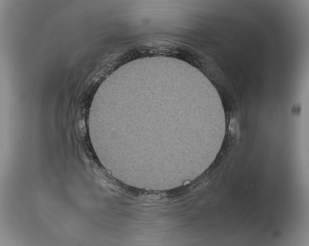 X0000113950771200911061303
