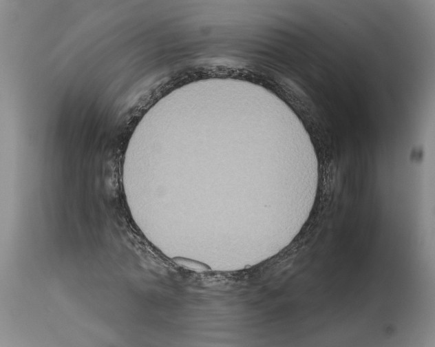 X0000113950774200911061303