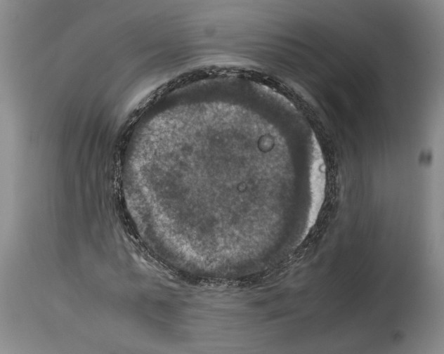 X0000113950775200911061303