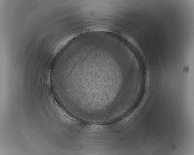 X0000113950777200911061303