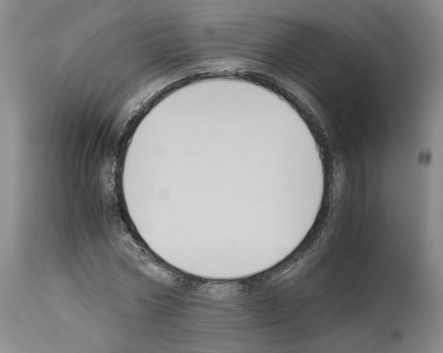 X0000113950778200911061303