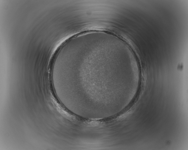 X0000113950779200911061303