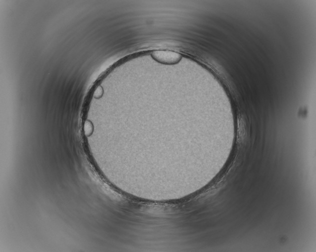 X0000113950780200911061303