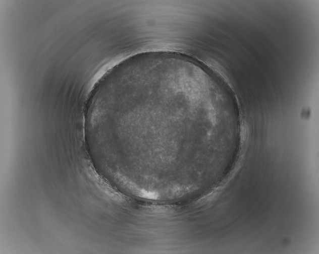 X0000113950781200911061303