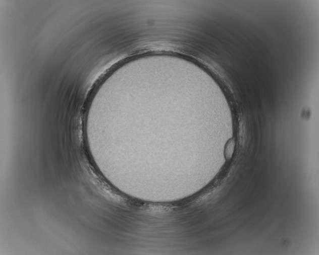 X0000113950782200911061303