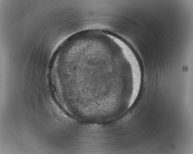 X0000113950783200911061303