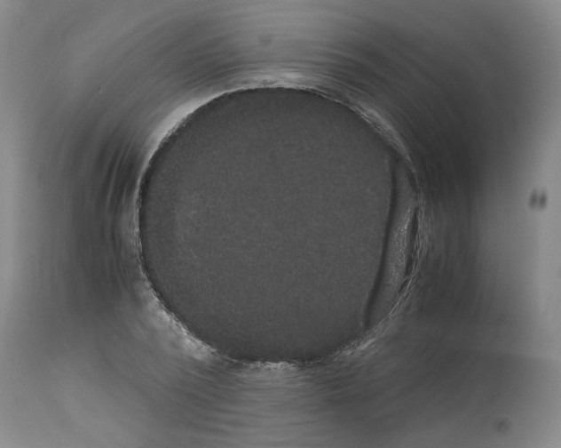 X0000113950784200911061302