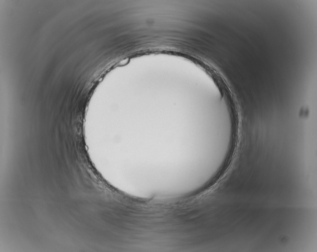 X0000113950785200911061302