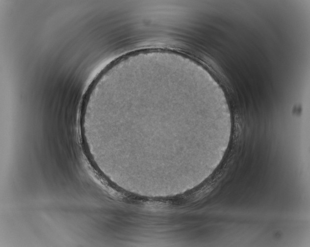 X0000113950788200911061302