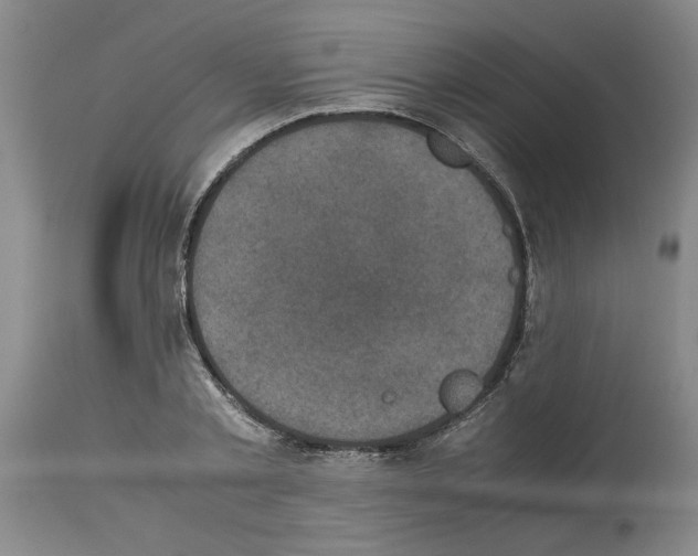 X0000113950789200911061302