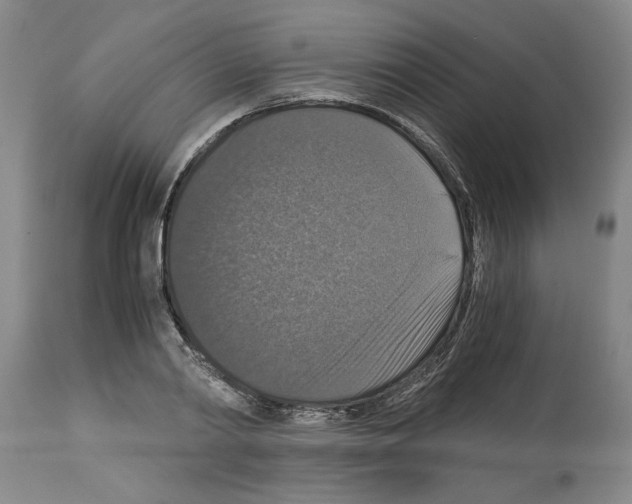 X0000113950790200911061302