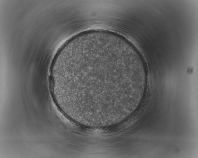 X0000113950791200911061302
