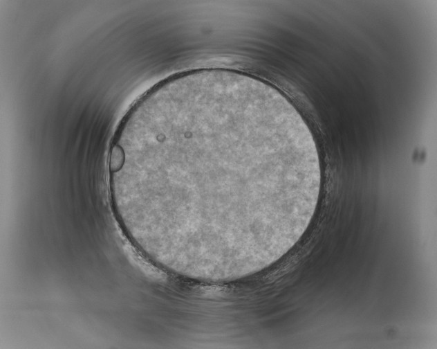 X0000113950792200911061302