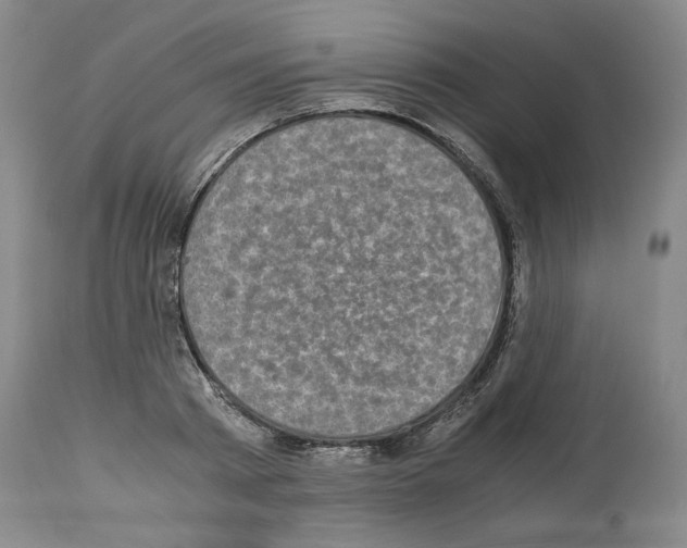 X0000113950793200911061302