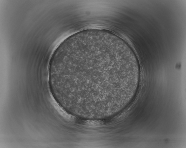 X0000113950795200911061302