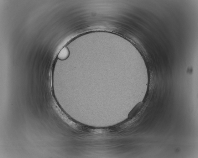 X0000113950796200911061302