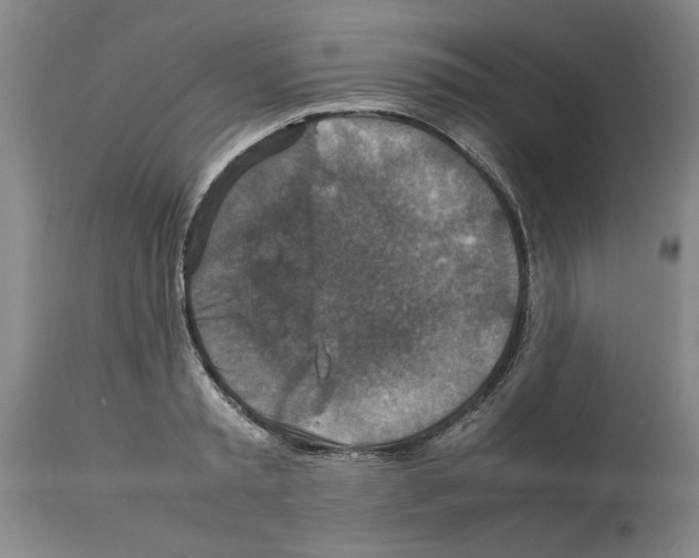 X0000113950797200911061302