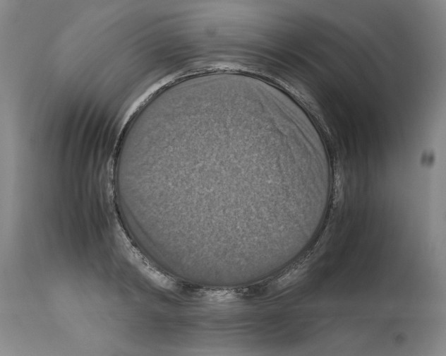 X0000113950798200911061302