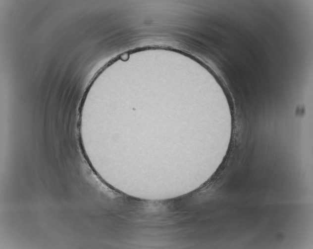 X0000113950799200911061302