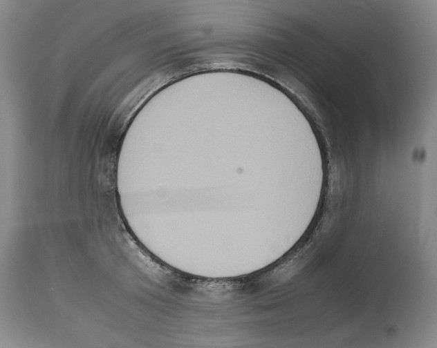 X0000113950801200911061302
