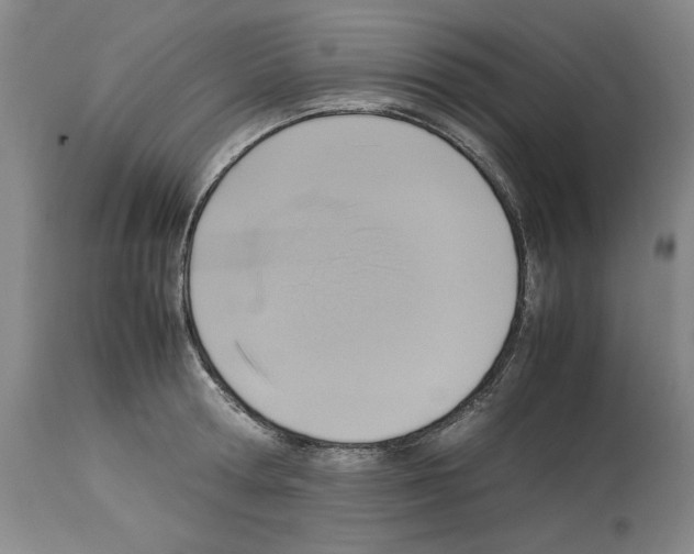 X0000113950802200911061302