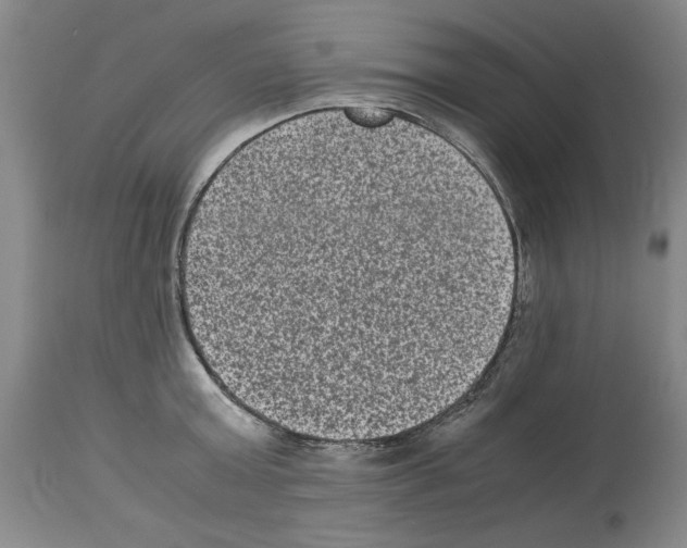 X0000113950803200911061302