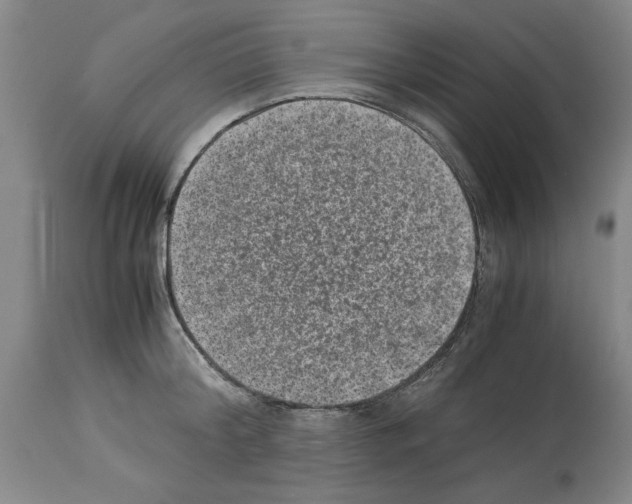 X0000113950804200911061302