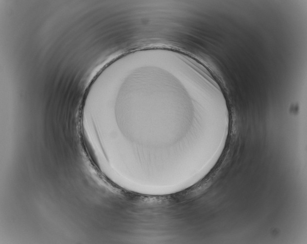 X0000113950806200911061302