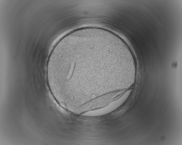 X0000113950807200911061302