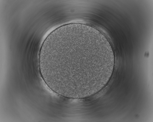 X0000113950808200911061302