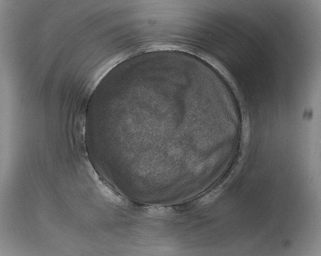 X0000113950809200911061302