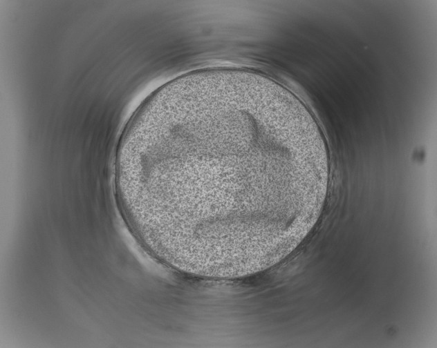 X0000113950811200911061302