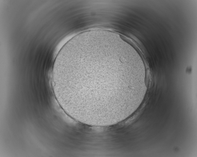 X0000113950812200911061302
