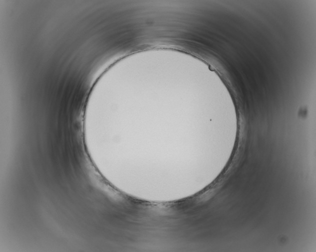 X0000113950814200911061302