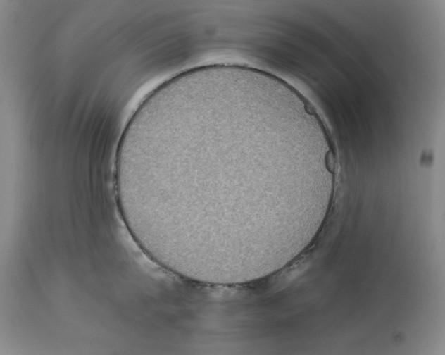 X0000113950815200911061302