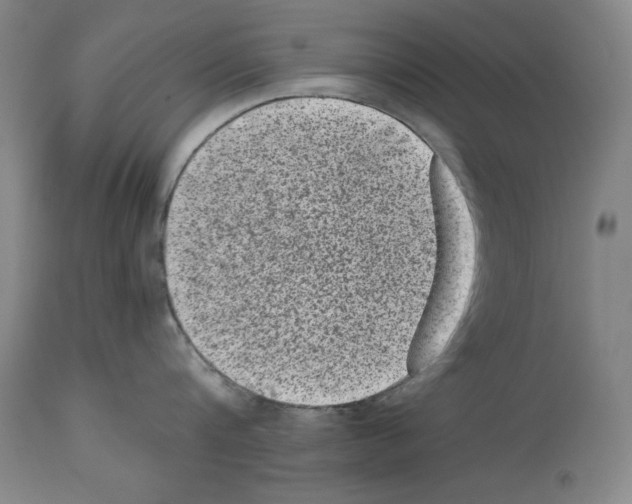X0000113950816200911061302