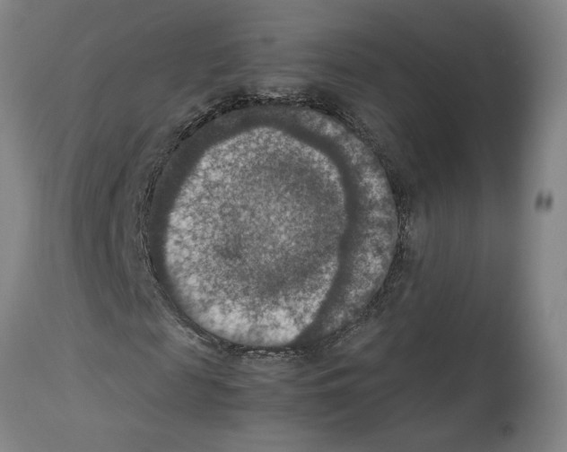 X0000113950817200911061301