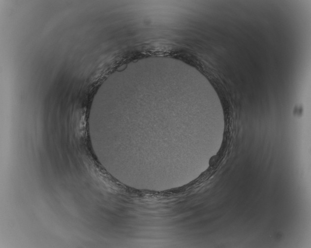 X0000113950818200911061301