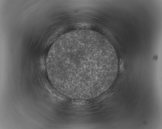 X0000113950819200911061301