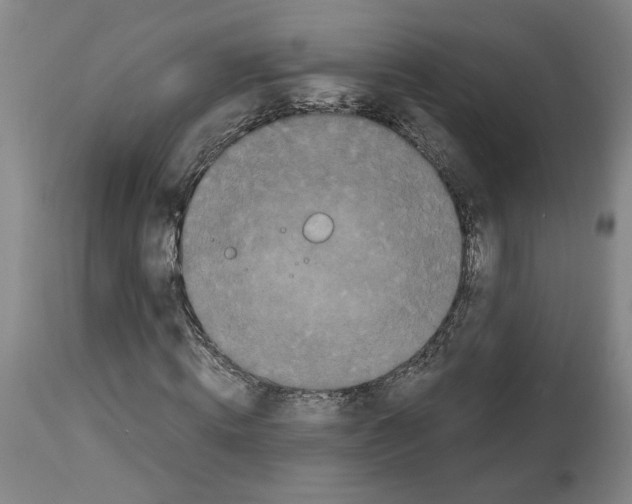 X0000113950820200911061301