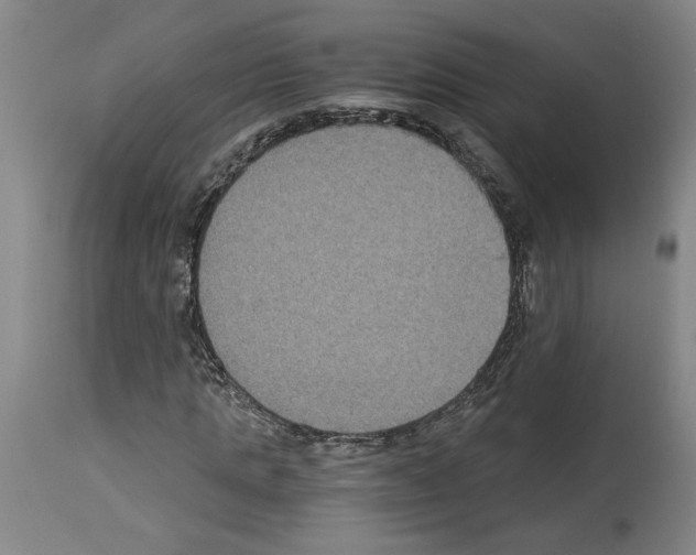 X0000113950821200911061301