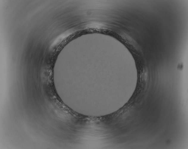 X0000113950822200911061301