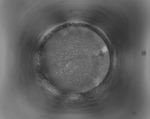 X0000113950823200911061301