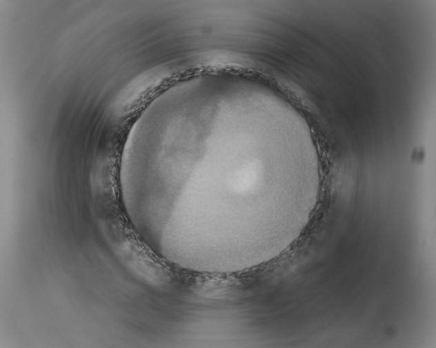X0000113950824200911061301