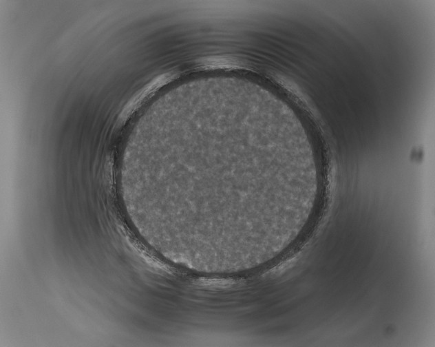 X0000113950825200911061302