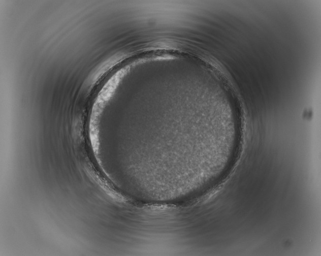 X0000113950826200911061302
