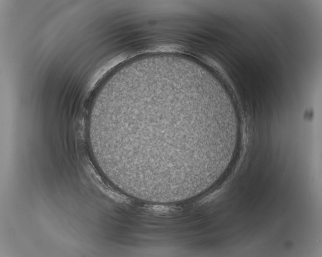 X0000113950827200911061302